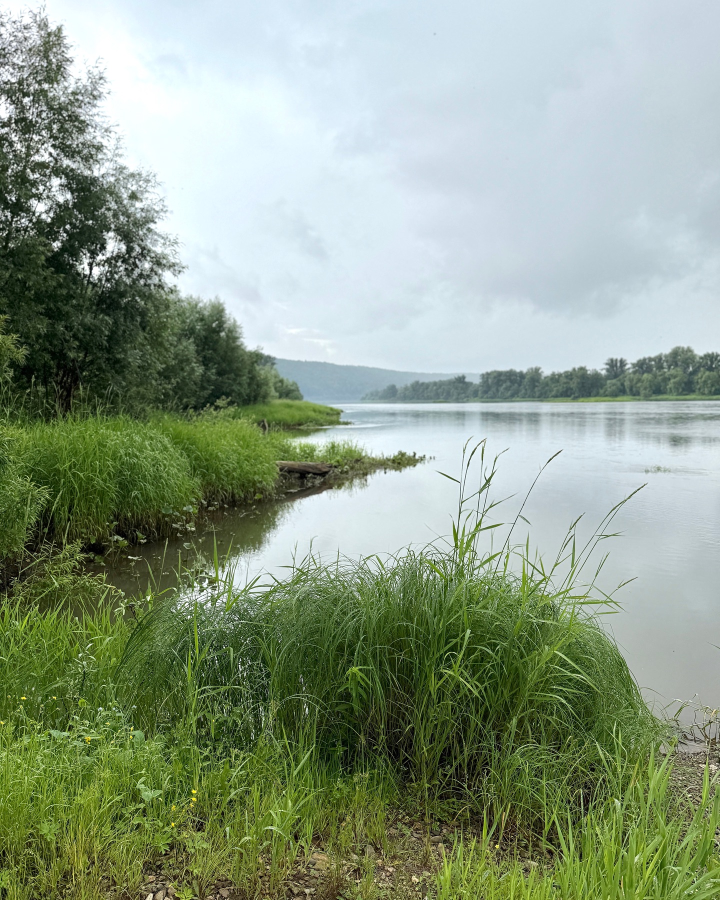 Фото на реке