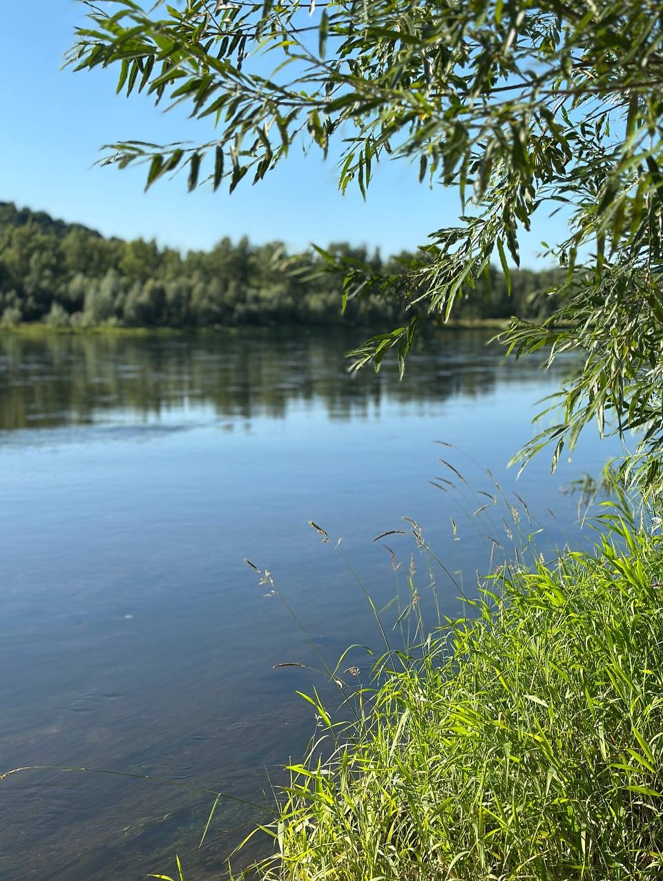 Летний кадр отдыха у дома