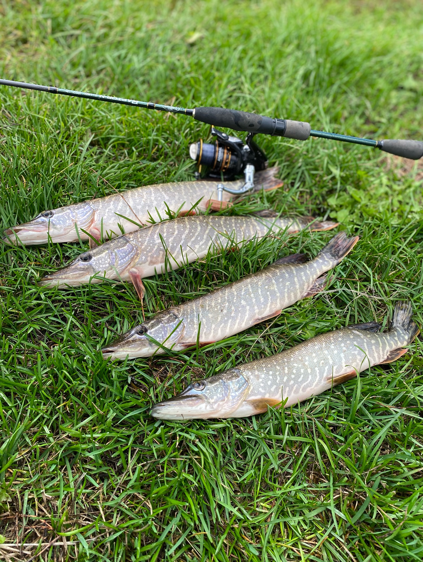 Фото на реке