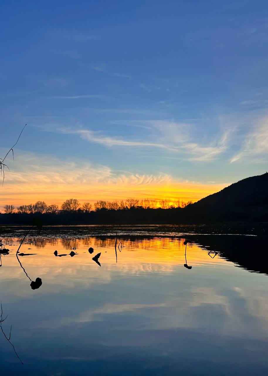 Фото на реке